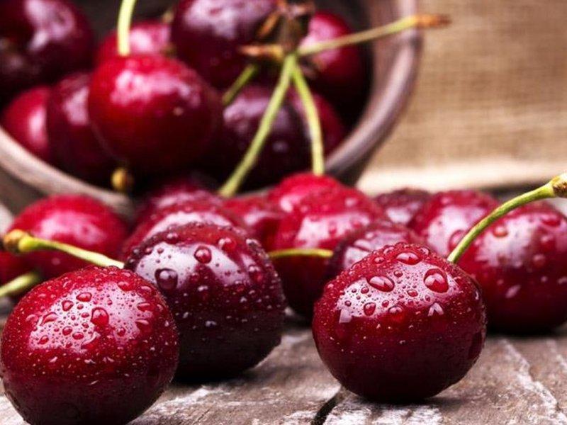 Вишня купить саженцы из питомника в Норильске